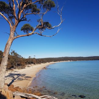 Freycinet National Park to Hobart