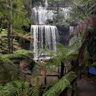 Russell Falls surrounded by lush rainforest in Mount Field National Park, a highlight for travellers taking the Hobart to Mount Field shuttle service.